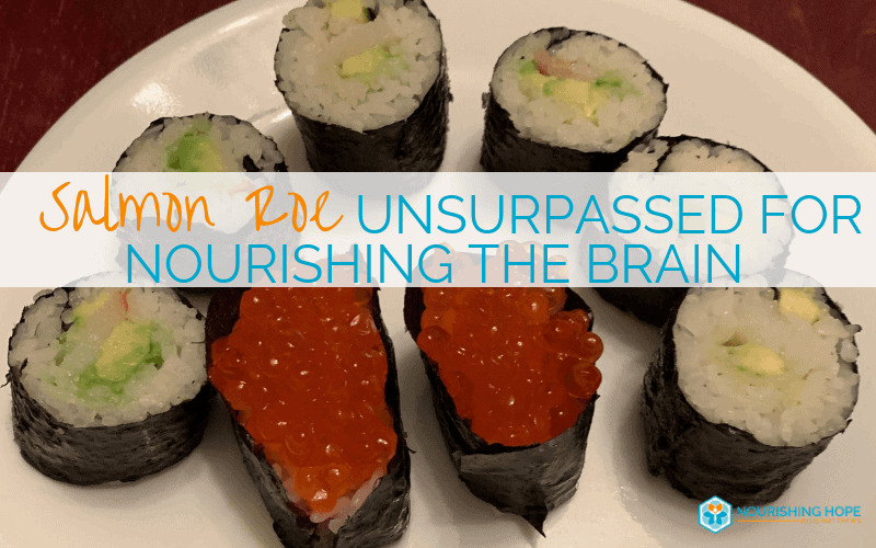 Salmon Roe – Unsurpassed for Nourishing the Brain