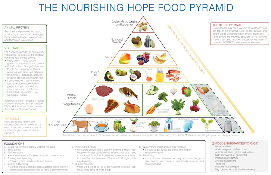 essay of food pyramid