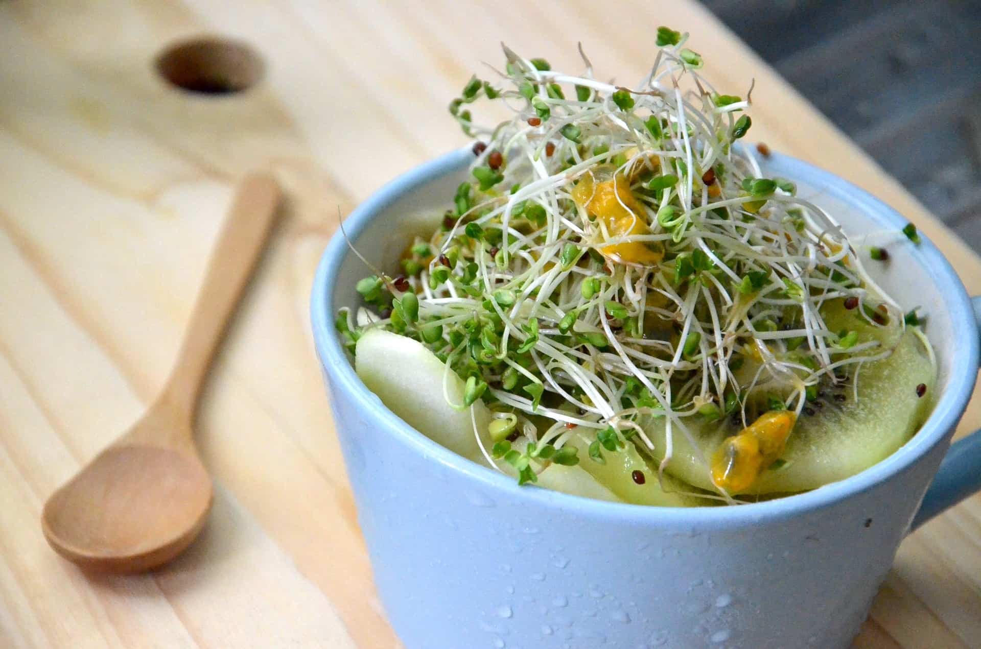 sulforaphane-benefits-autism-and-diy-broccoli-sprouts-nourishing-hope