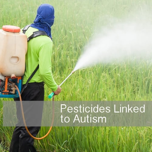 Common Pesticides Linked to Autism: The Role of an Organic Diet and Sulforaphane