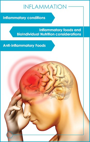 Inflammation in Anxiety, ADHD, Autism, and Other Neurological ...