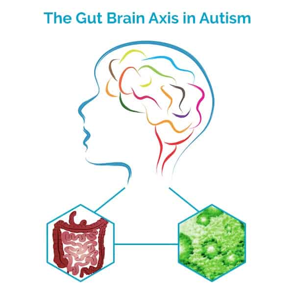 new research validates autism's link to gut