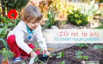 It’s Not Too Late To Start Your Garden