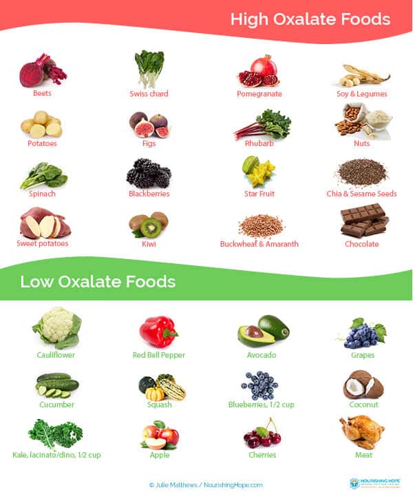 Where Does Oxalate Come From