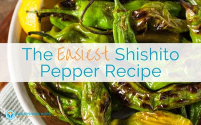 The Easiest Shishito Peppers