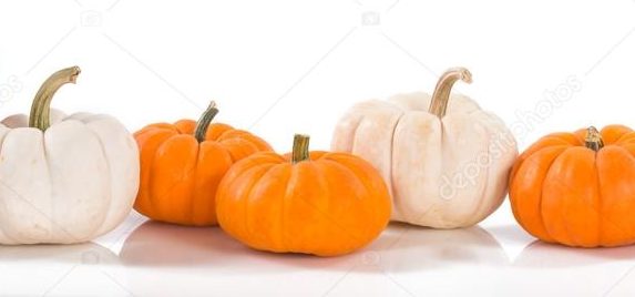 depositphotos_55337531-stock-photo-pumpkins-against-white-background