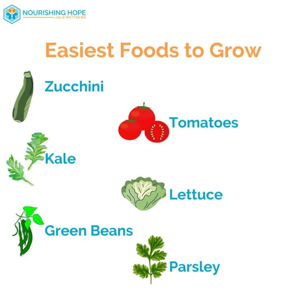 Easiest Vegetables to Grow in Your Home Garden