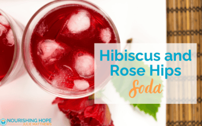 Hibiscus and Rose Hips Soda